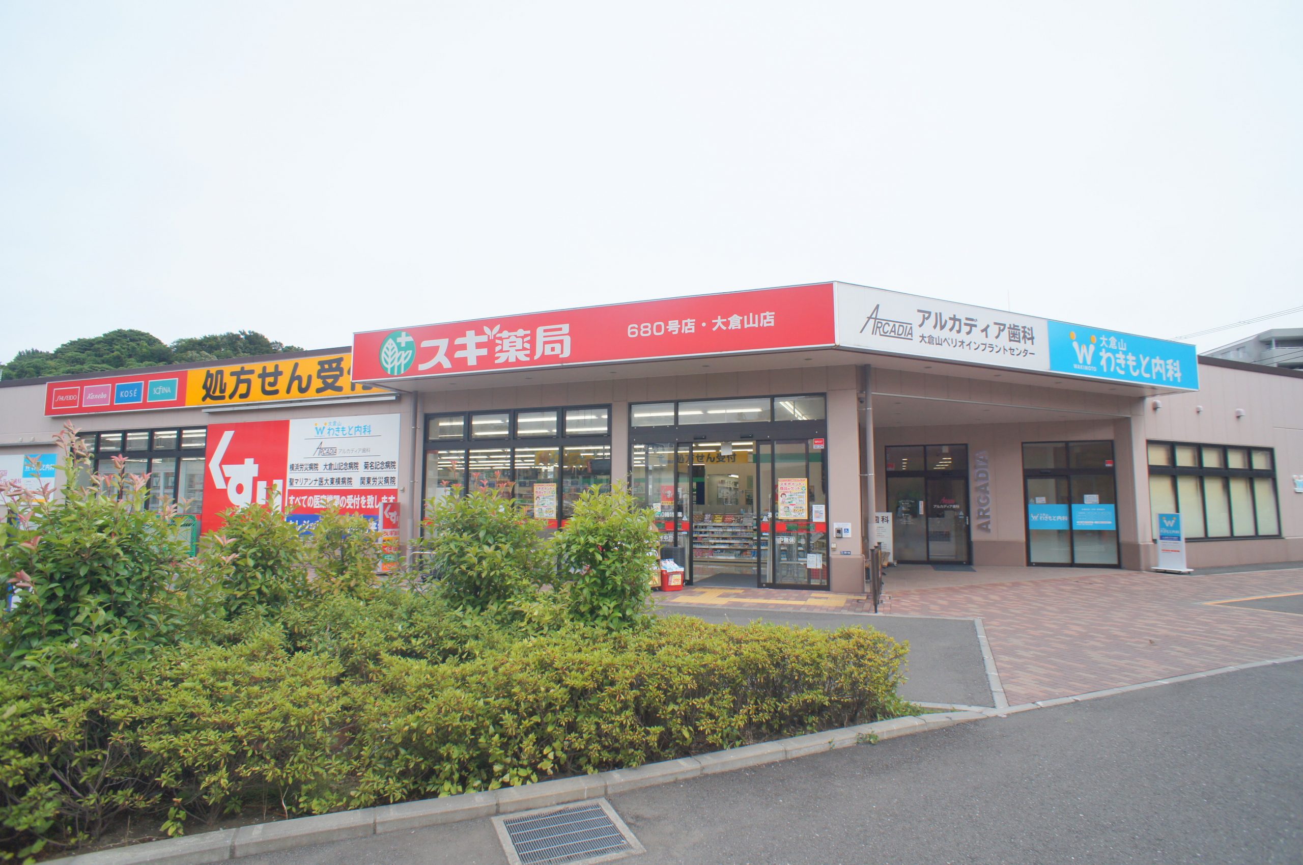 ドラッグストア：スギ薬局　大倉山店　410m　近隣