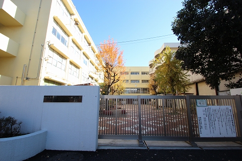 小学校：横浜市立駒林小学校　447m