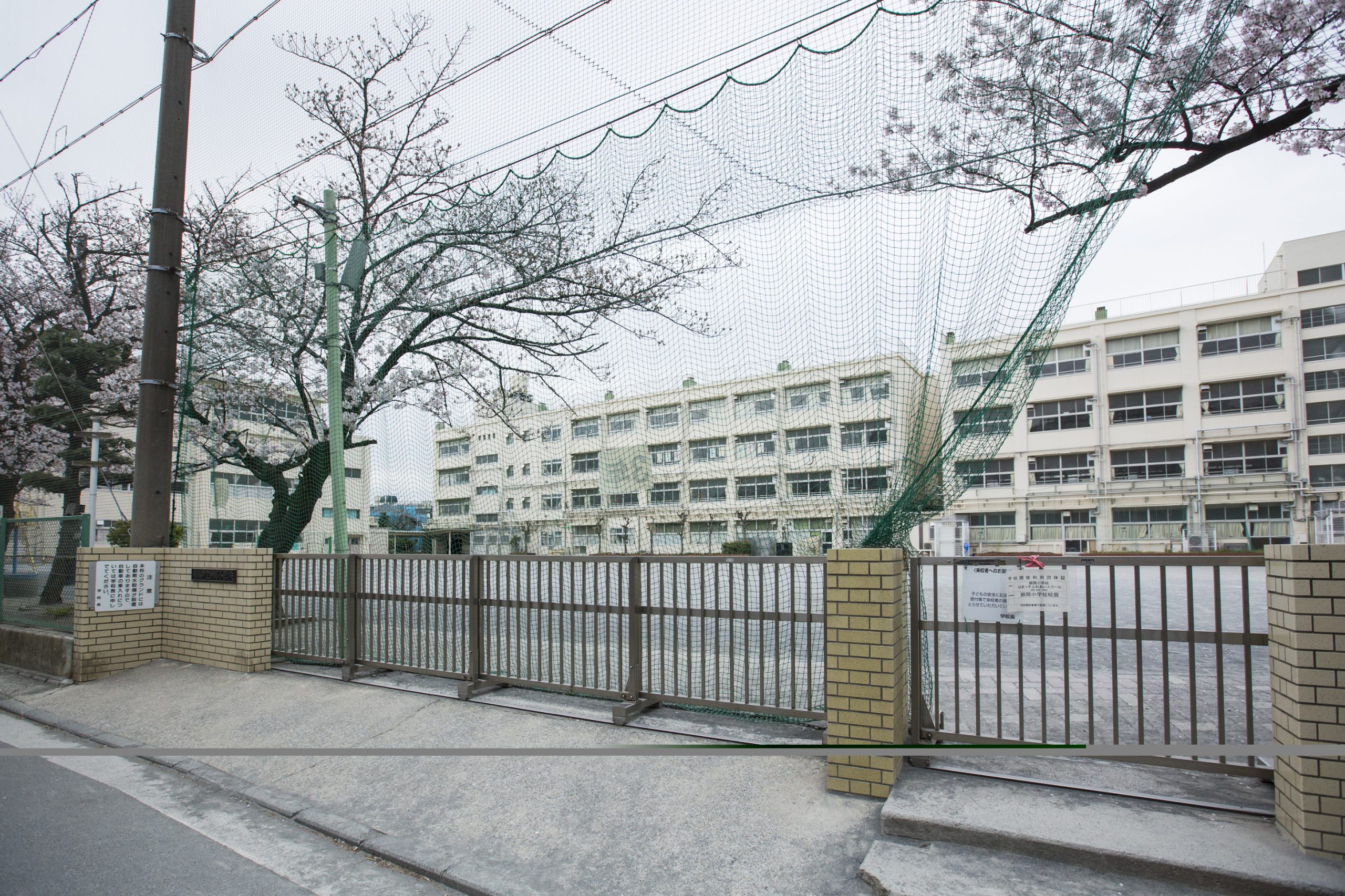 小学校：横浜市立師岡小学校　708m