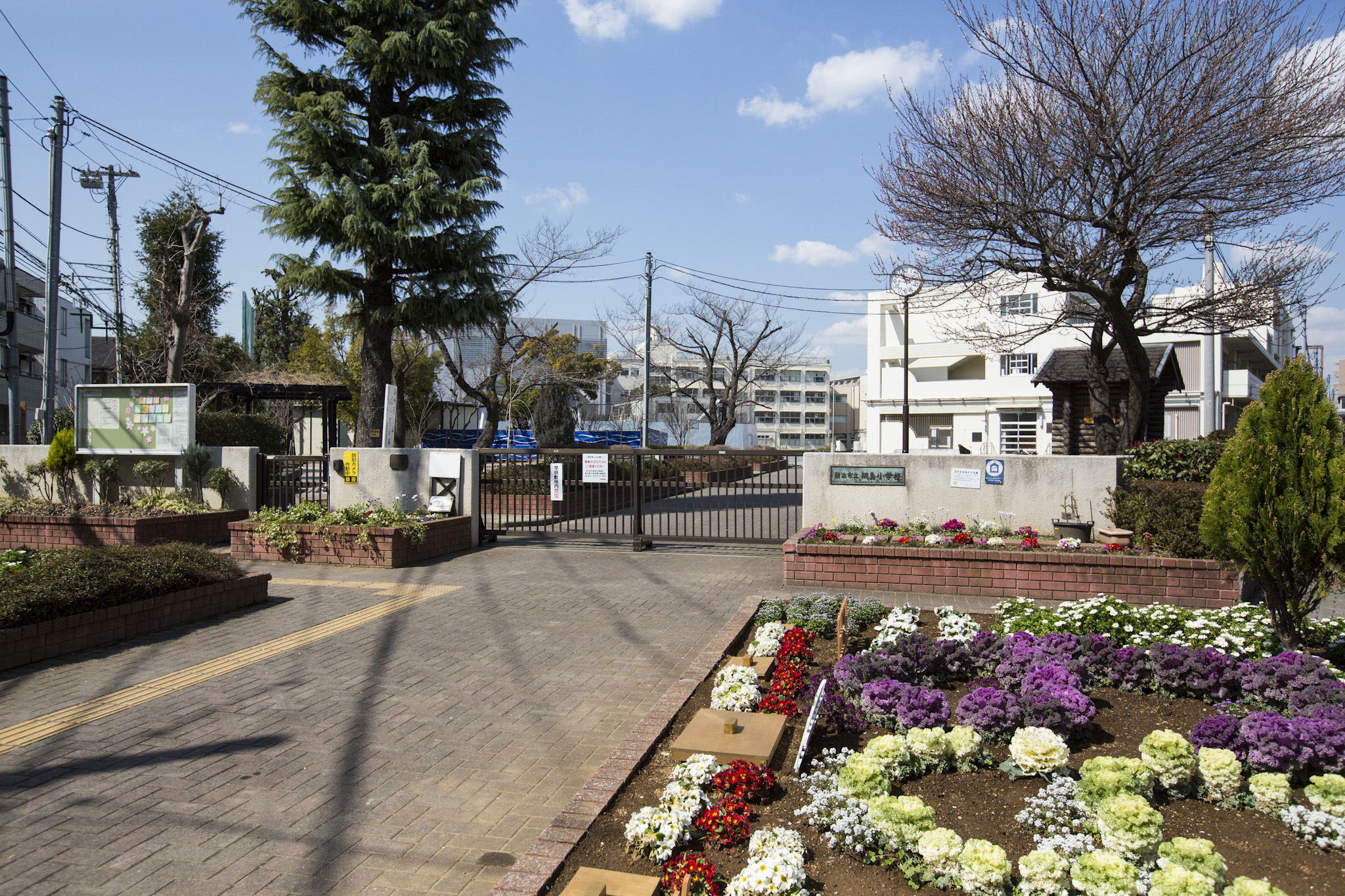 小学校：横浜市立綱島小学校　400m