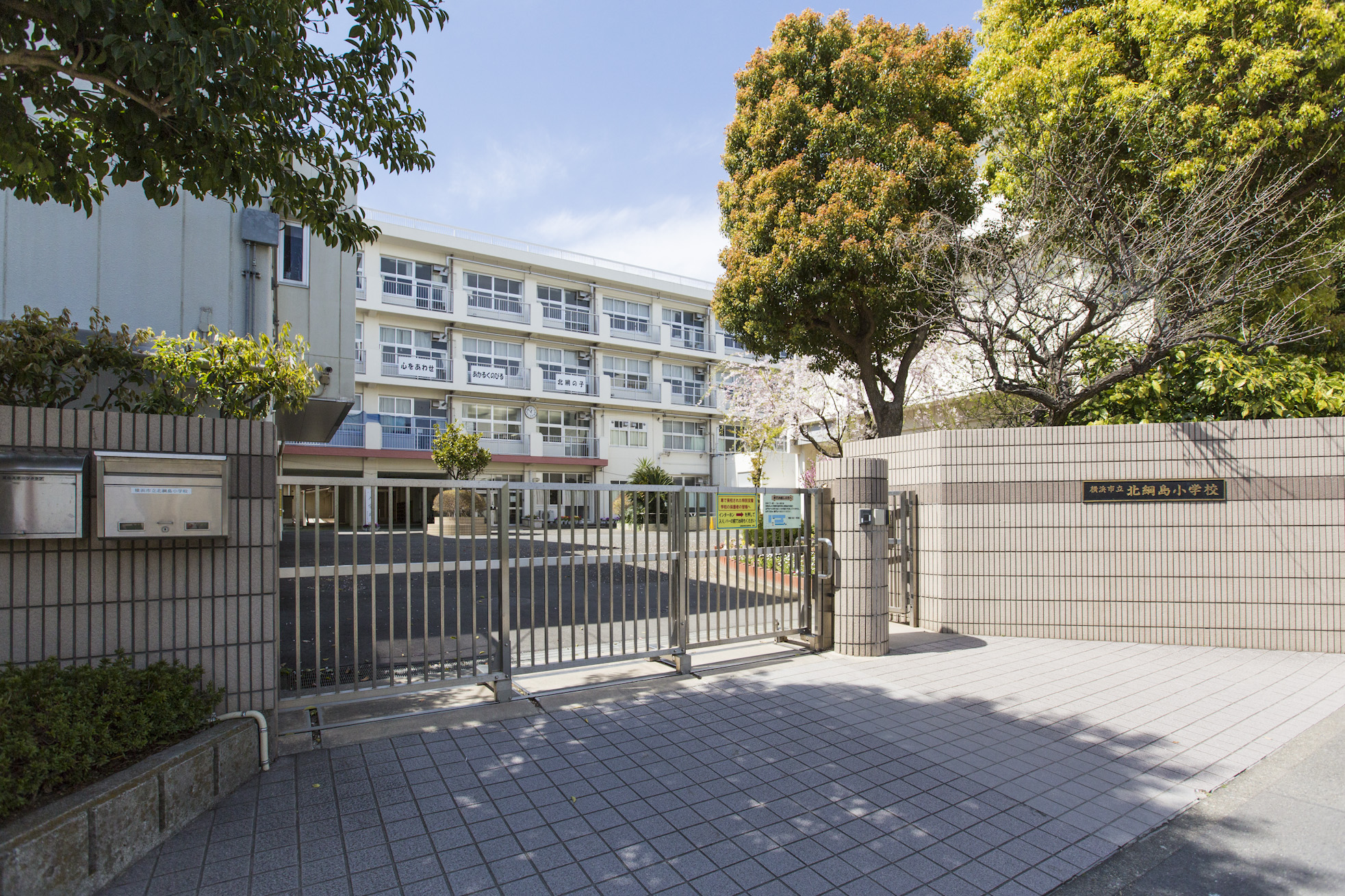小学校：横浜市立北綱島小学校　322m