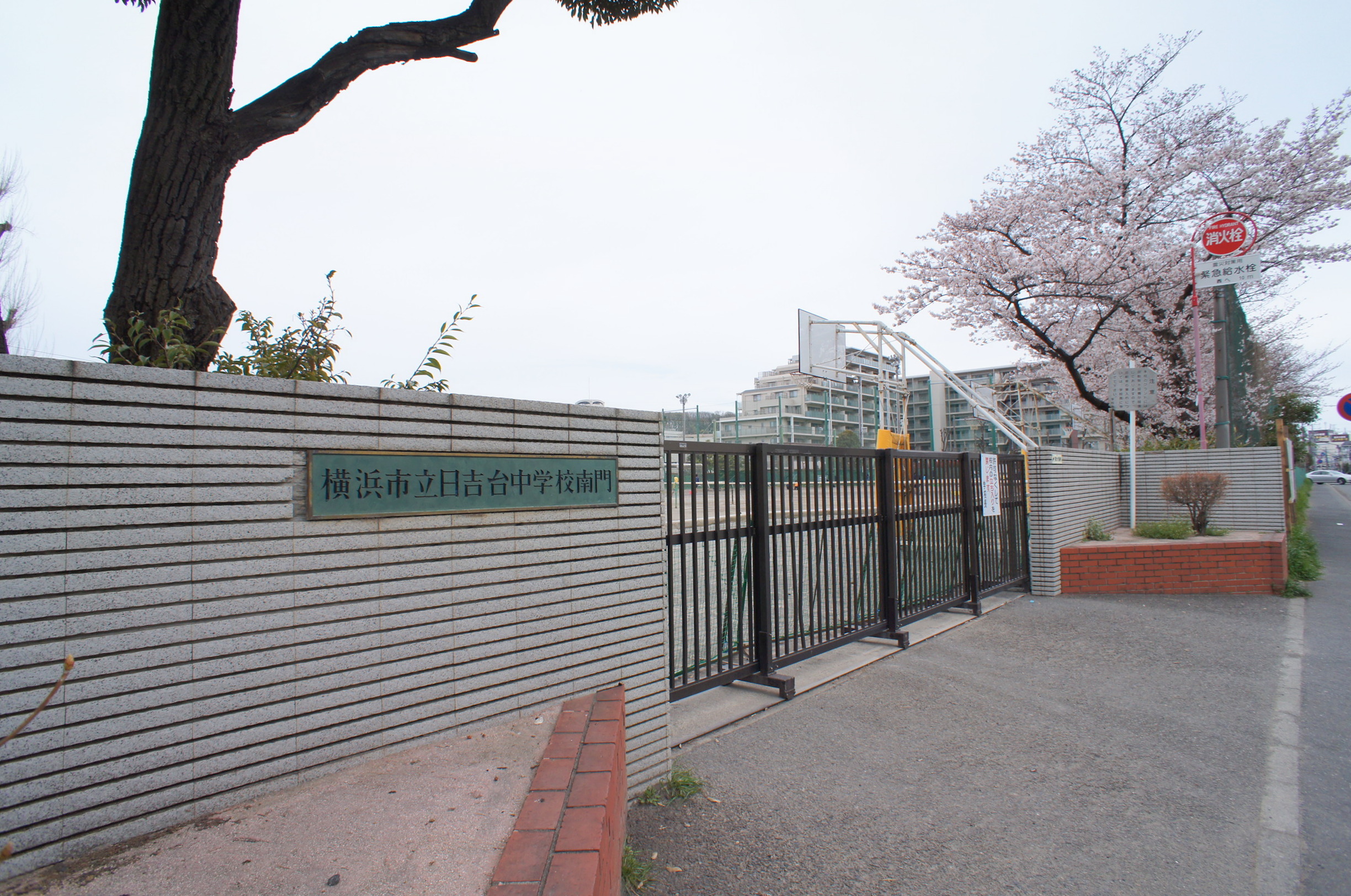 中学校：横浜市立日吉台中学校　576m